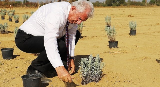 Ödemiş Belediyesinden “Tıbbi-Aromatik Bitki Bahçesi” hamlesi