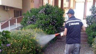 Aliağa Belediyesi Sivrisinekle Mücadelesini Sürdürüyor