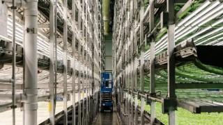 Dikey Tarım Odaklanan Pimtaş Çevreyi Merkeze Aldı