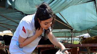 Aliağa Kurban Pazarında Hareketlilik Arttı