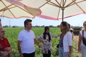 Bu hasatta iyilik var