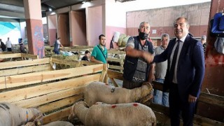 Bursa Büyükşehir Belediyesi kentteki yetim ailelerine kurbanlık dağıtıyor