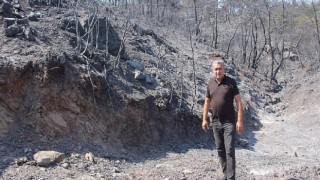 Serter’den Hükümete yangın tepkisi