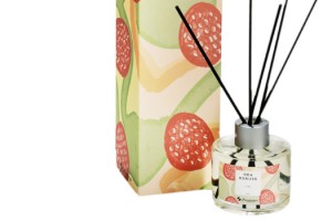 YAZIN KEYFİNİ YEPYENİ ÜRÜNLER İLE PAŞABAHÇE MAĞAZALARI’NDA ÇIKARIN