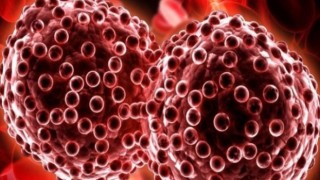 Hepatit Konusunda Yeterince Bilgili Misiniz?