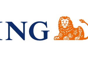 ING’DEN, İKLİM DEĞİŞİKLİĞİYLE MÜCADELEYE ÖNEMLİ DESTEK