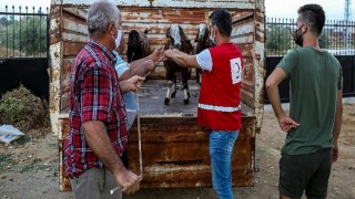 Kızılay’dan Manavgat’a küçükbaş hayvan yardımı