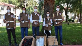 Rekolte kaybını önlemek için Akdeniz Meyve Sineği ile bölgesel mücadele çağrısı