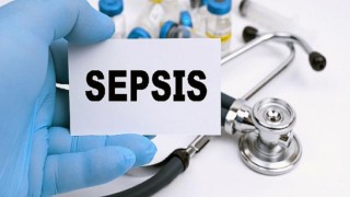 Sepsis Her 2,8 Saniyede 1 Kişinin Yaşamına Mal Oluyor!