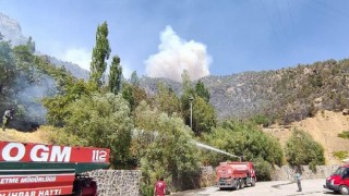Tunceli’deki yangınların tamamı kontrol altında