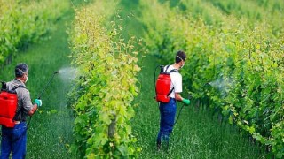 16 Ekim Dünya Gıda Günü: Tek Yol Gıdamıza Sahip Çıkmak