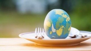 Dünyada üretilen gıdanın üçte biri israf ediliyor