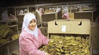 Ege Bölgesi’nden Eylül ayında 2 milyar 550 milyon dolar ihracat