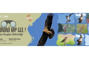 GELİN GÖÇMEN KUŞLARI BİRLİKTE İZLEYELİM