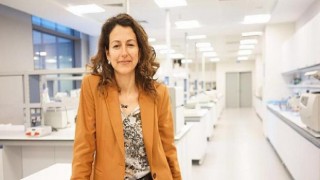 Gelişmekte Olan Ülkelerde Düşük Sosyoekonomik Durum Obezite İçin Risk Faktörü