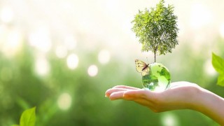 İsviçreli gıda üreticisi Hero Baby’den Türk kadın çiftçilere tam destek!