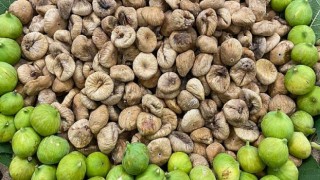 Kuru incir ihracatında 256 milyon dolar döviz geliri elde edildi