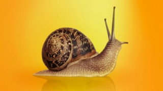 MysterySnail: Kaspersky, Windows işletim sistemi için yeni bir sıfır gün açığı buldu