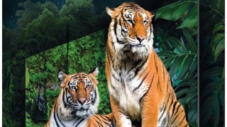 Samsung’un gelenekselleşen “Büyük TV Günleri” kampanyası başlıyor!