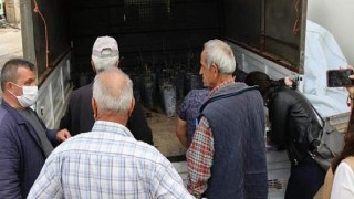 Antalya Büyükşehir Belediyesi’nin fide yardımları sürüyor