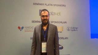 Kediler 9 canlı değildir; yüksekten düşmeler ciddi sorunlara yol açabilir