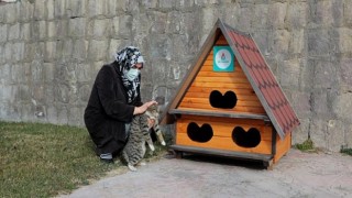 Nevşehir Belediyesi’nden Sokaktaki Minik Dostlarımız İçin Kış Seferberliği