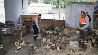 Bayrampaşa’da Budanan Ağaçların Dalları Evleri Isıtıyor