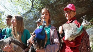 Makedon öğrenciler Hayvanat Bahçesi’nde eğitim alıyor