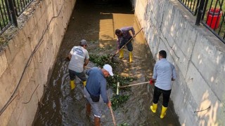 Kemer Belediyesi, Kiriş Mahallesindeki Dere İçerisinde Temizlik Yaptı