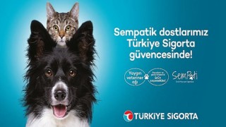 Türkiye Sigorta’dan Sevimli Dostlara Özel Sigorta