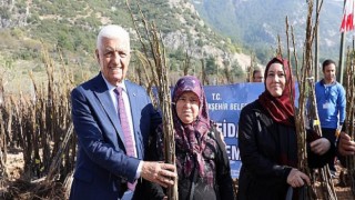 Muğla Büyükşehirden Fidan ve Tohum Desteği