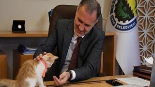 Sokak Hayvanlarının Dostu, İnegöl Belediyesi