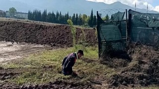 Çukura düşen yavru köpeği A Takımı kurtardı