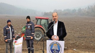 Mudanya Belediyesi Buğday Tohumlarını Toprakla Buluşturdu