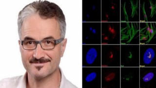 İnsanda bulunan SPATA31 geninin, yaşam uzunluğu ile orantılı olduğunu tespit edildi