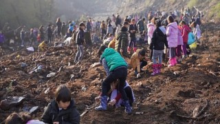 Marmaris’te MADOK- Kızılbük GYO iş birliğiyle ağaç ekim şenliği gerçekleştirildi