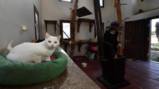 Sobalar can dostlar için yandı