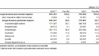 Sosyal korumaya 785 milyar 662 milyon TL harcandı
