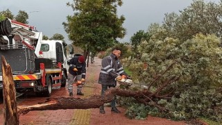 Antalya Büyükşehir'den olumsuzluklara hızlı müdahale