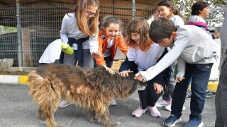 Beylikdüzü'nde Patili Dostlar Mutlu