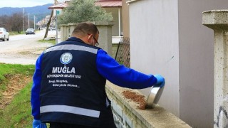 Büyükşehir candostlar için mama üretimine devam ediyor