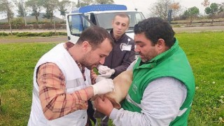 Canik Belediyesi Can Dostların Her Zaman Yanında