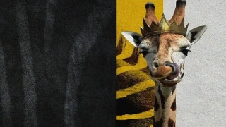 “Disney'in Sihirli Hayvan Krallığı” National Geographic WILD'da