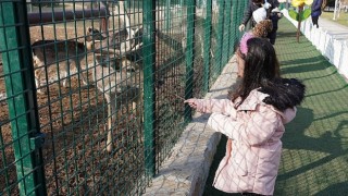 Doğal Yaşam Parkı İlgiden Memnun
