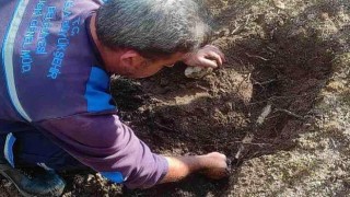 Marmaris ve Milas'ta su gözleri temizlendi