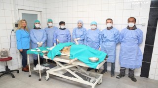 Nilüfer'de sahipsiz can dostlar kısırlaştırılıyor