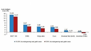 TÜİK Aylık en yüksek reel getiri BIST 100 endeksinde oldu