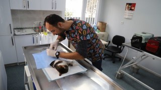 Hayvan Dostu Belediye: Menderes Belediyesi