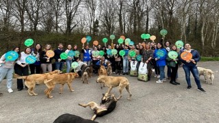 Watsons Türkiye HAYTAP İş Birliği ile 4 Nisan Sokak Hayvanları Günü'nde Ormanlardaki Dostlarımızı 1 Ton Mamayla Besledi!