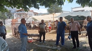 Kurban satış yerlerinde denetim